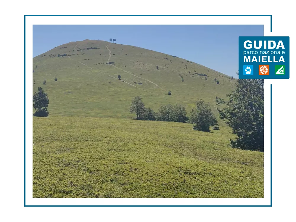 Monte Pizzalto: la cima vista Maiella