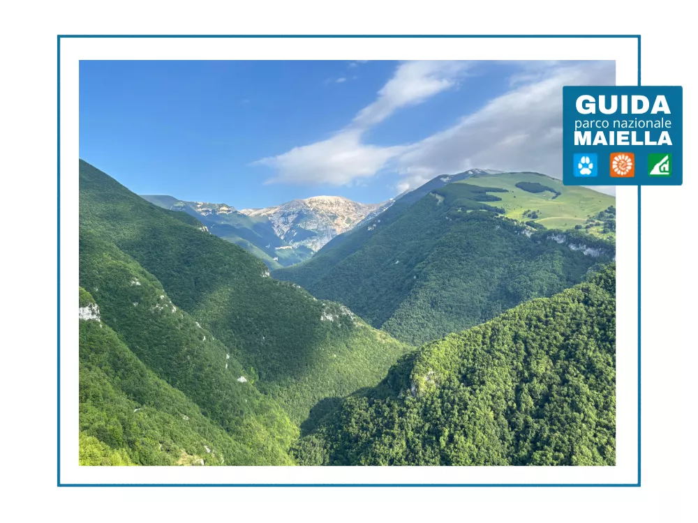 Affaccio panoramico dal sentiero sulla Valle dell'Orfento