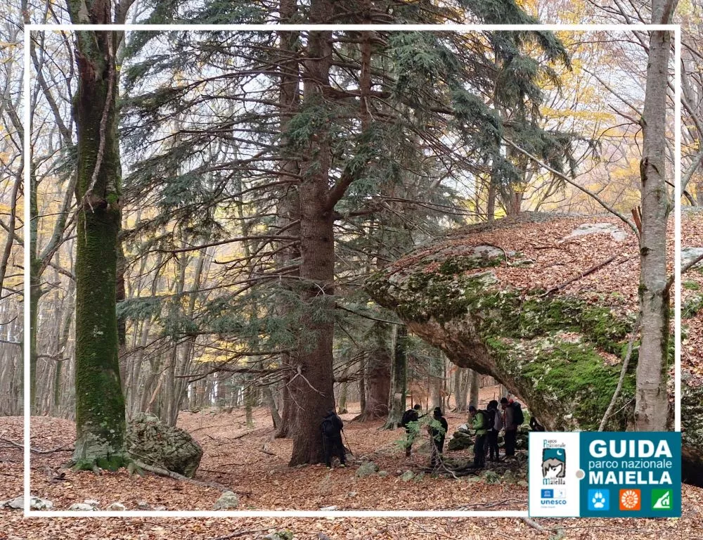 La Nave nella Fossa di Pentima