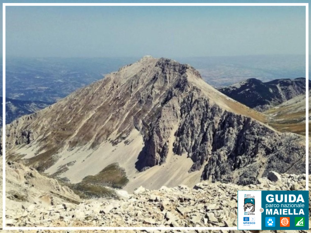 Veduta di Cima Murelle (2596 m) da Monte Focalone.