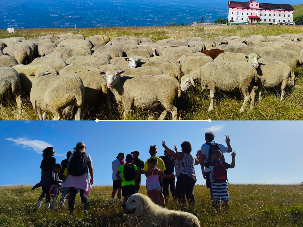 Il pastore, il gregge e i meravigliosi pastori abruzzesi. Un patrimonio tutto da scoprire!