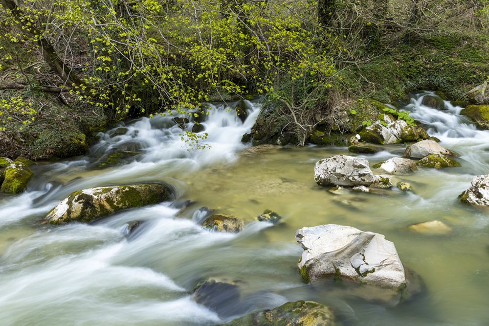 Immagine primaverile delle copiose acque del fiume Aventino, poco a valle delle sorgenti di Capo di Fiume.